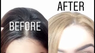 LOreal LB01 Ultra Light Ash Blonde  Root Touch Up [upl. by Nemrak230]