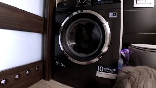 Washing Machine Sound  Relax  Sleep  ASMR [upl. by Ingrim]