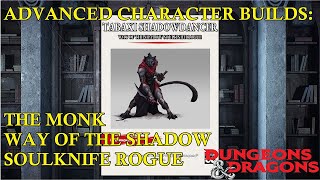 DND5E Advanced Character Guide The Tabaxi ShadowDancer [upl. by Alyakim]