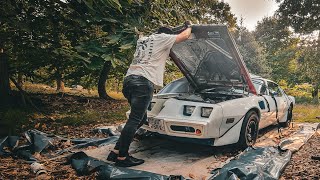 A Very BRITISH Car GRAVEYARD With A TWIST Forgotten LEGENDS Left For DEAD  IMSTOKZE [upl. by Euqinobe815]