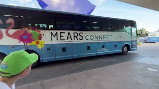 Kayden loving Mears Connect Buses at Disney’s Pop Century busstop disneybus bus busboyk [upl. by Mont]