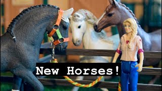 New Horses at Silver Star Stables  Short Schleich Movie [upl. by Leonteen]