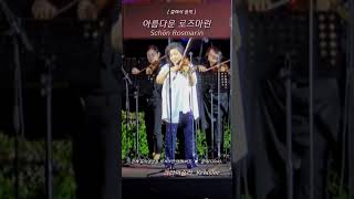 아름다운 로즈마린 Schön Rosmarin  작곡 크라이슬러 kreisler  클래식 음악  Classical music [upl. by Willie]