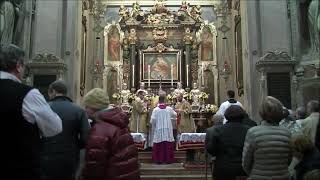 Ambrosian Rite Holy Mass  Church of the Nativity of the Blessed Virgin  Archdiocese of Milan Italy [upl. by Clary683]