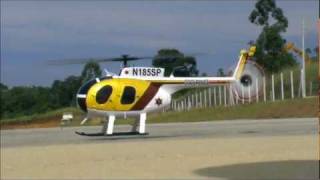 Hughes MD500D Micro Scale in Align TRex 250 Alfies MD [upl. by Clark89]