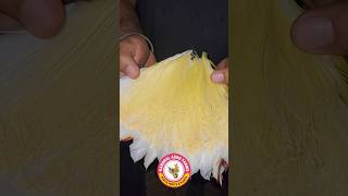 How to Collect pollen for cross pollination No fancy equipment needed [upl. by Sausa]