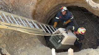 A Very Difficult Rescue of a Puppy Trapped inside a Well Takis Shelter [upl. by Atnauqahs]