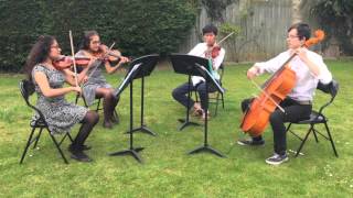 Humko Humise Chura Lo Mohabbatein String Quartet [upl. by Arocat333]