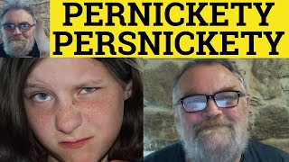 🔵 Pernickety Meaning  Persnickety Examples  Persnickety Defined  Pernickety Explained  C2 Vocab [upl. by Air]