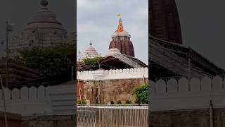 Jai Jagannath 🙏 shorts temple puri love god travel [upl. by Rodrique]