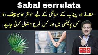 Sabal serrulata Q  Sabal serrulata Mother tincture  Sabal serrulata uses  Sabal serrulata benefit [upl. by Sylvester475]