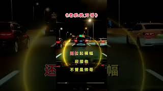 改编歌曲刀郎演唱会就怕歌词入了心 [upl. by Ellocin]