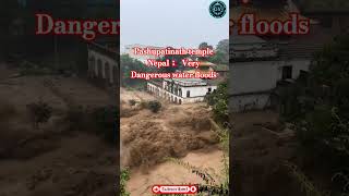 pashupatinath temple in kathmandufloods in nepalfloods and landslides in nepal nepal shortvideo [upl. by Magdau464]