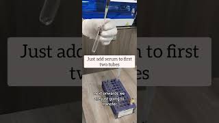 Procedure to calculate Rh Antibodies titre Step by step procedure Rh mltclasses bloodbanking [upl. by Daye689]