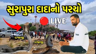 સુરાપુરા ધામ ભોળાદ લાઇવ પરચો 😱 Surapura Dada Bholad  Bholad Surapura Dada  Surapura Dham Bholad [upl. by Eilasor]