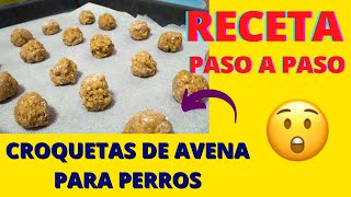 Receta de Croquetas de Avena para Perros  Comida para Perros Natural  Comida Casera para Perros [upl. by Hyacinth]