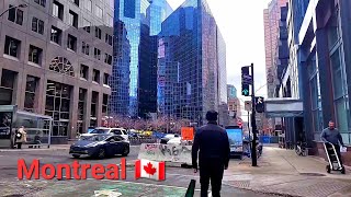 Living Montreal Canada City [upl. by Kerr]