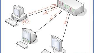 12 10Base T Ethernet Hubs [upl. by Caffrey796]