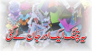 Basant 2022  Kite Flying [upl. by Noreh]