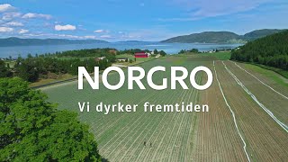 Norgro  Kål [upl. by Adolf]