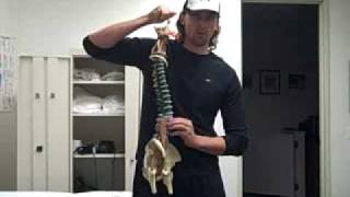 THE PSOAS Low Back Pain Lumbar Curve and Pelvic Tilt Relationships [upl. by Hardin]