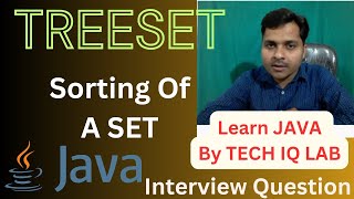 Sorting Of HashSet In Java  TreeSet In Java  Tech IQ Lab javaprogramming java [upl. by Nazar893]