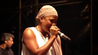 Lady Saw  Sycamore Tree  Healing  Hot Gal Medley Live at BoomTown Fair 2014 [upl. by Eidnahs442]