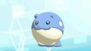 this spheal will roll 01 seconds for every view this video get [upl. by Plerre]