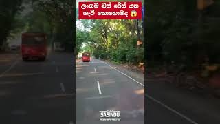 Ctb රෙස් ❤️ automobile 1millon teamsasindu trending bus 1million [upl. by Ahsined]