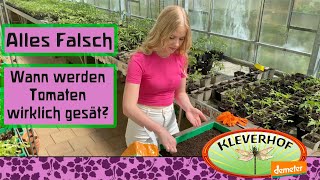 Wann werden Tomaten wirklich ausgesät [upl. by Vera729]