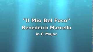 Il Mio Bel Foco Instrumental [upl. by Yemrots]