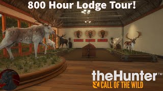 My 800 Hour Lodge Tour 6 Great Ones  Hunter Call of The Wild [upl. by Grosberg]