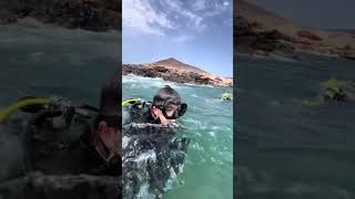 ⚠️😳 playa buceo peces canarias snorkeling viajes peligro animales [upl. by Germin]