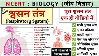 श्वसन तंत्र  Respiratory system  respiratory system in hindi  Biology  Study vines official [upl. by Procora89]