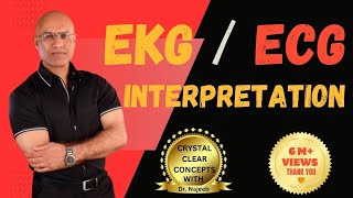 EKG Interpretation  Master Fundamentals of ECG  Electrocardiography [upl. by Carlock831]