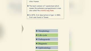 Paragonimus Westermani \Life Cycle \Parasitology\pathogenesis [upl. by Jasmin]