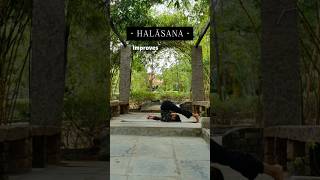 🪷HATHA YOGA PRACTICESIVANANDA VEDANTA ASHRAMMaduraiTamil Nadu yoga asana bodycleansing [upl. by Herzel452]