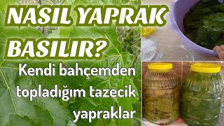 El Açması Baklava Tarifi En Güzel Nasıl Yapılır Yıldız Kesim Pratik Yemek Tarifleri [upl. by Tunk117]