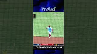 Cardenales de Lara vuela en la cima de la LVBP 🔥🆑 LosGrandesdelaSemana Cardenales Protex [upl. by Nylac]