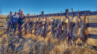 ActionPacked 10 Coyote Day in Colorado  The Last Stand S4E5 [upl. by Raimundo]