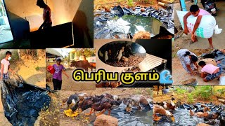 வாத்துக்கு மிக பெறிய குளம் 🌊கட்டப்பேறோம்😍 கோழி குஞ்சுகளுக்கு 💡புரூடிங் அமைப்பு முறை 💥Brooding setup [upl. by Eenhpad362]