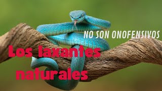 Los laxantes naturales no son inofensivos ten cuidado [upl. by Berne]