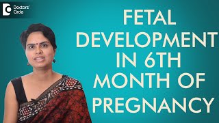 6th Month  Fetal development in sixth month of pregnancy Dr Shefali Tyagi [upl. by Kitarp215]