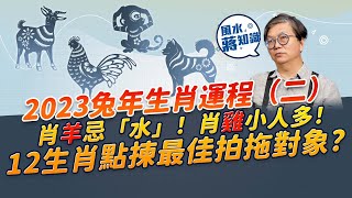 蔣匡文2023兔年生肖運程（二）！肖羊要遠離「水」？肖雞小人纏身？肖狗喜事重重！肖猴要提防一件事！同場加映：拍拖要揀相合生肖？｜風水蔣知識｜etnet [upl. by Ikiv]