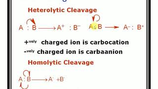 Homolytic and Heterolytic fission with suitable examples [upl. by Sakul506]