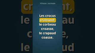 Répétez après moi ce virelangue 🤩  « Les crocus croissent le corbeau croasse le crapaud coasse » [upl. by Ahsiel965]