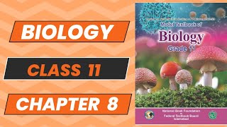 Biology 11 Chapter 8 Plantae Topic 2 New Book NBF 2024 Complete Explanation FBISE [upl. by Obidiah]