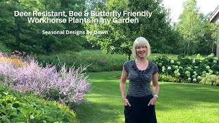 Deer Resistant Plants That Bees amp Butterflies Love In My Garden [upl. by Elocin]