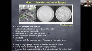 Phage Bacteriophage Therapy [upl. by Lettie]