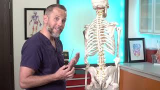 Lumbar Puncture Anatomy  Adult EM Bootcamp [upl. by Sadnac913]